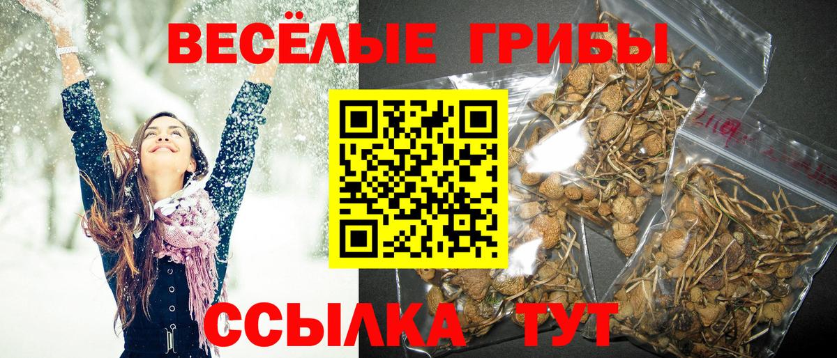 Псилоцибиновые грибы ЛСД Светлоград