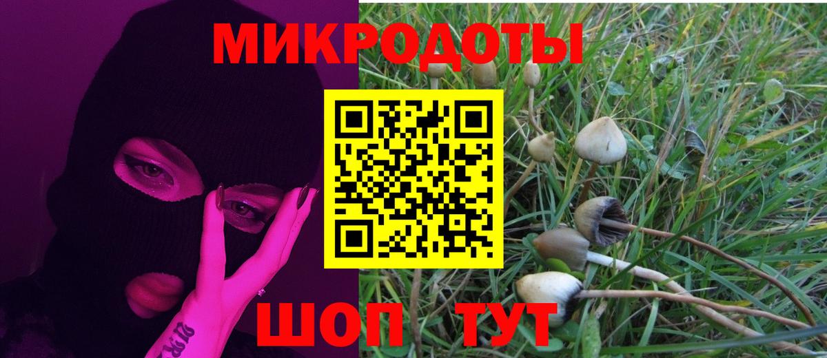 Светлоград  Галлюциногенные грибы мухоморы  Вход с VPN  Псилоцибиновые грибы MAGIC MUSHROOMS 